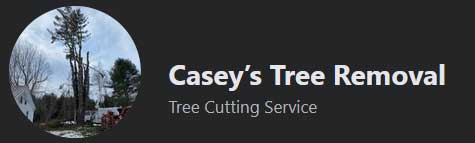 Caseys Tree Cutting